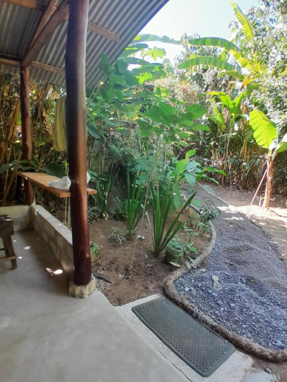 Los Paniquines Ecolodge Drakes Bay Екстериор снимка