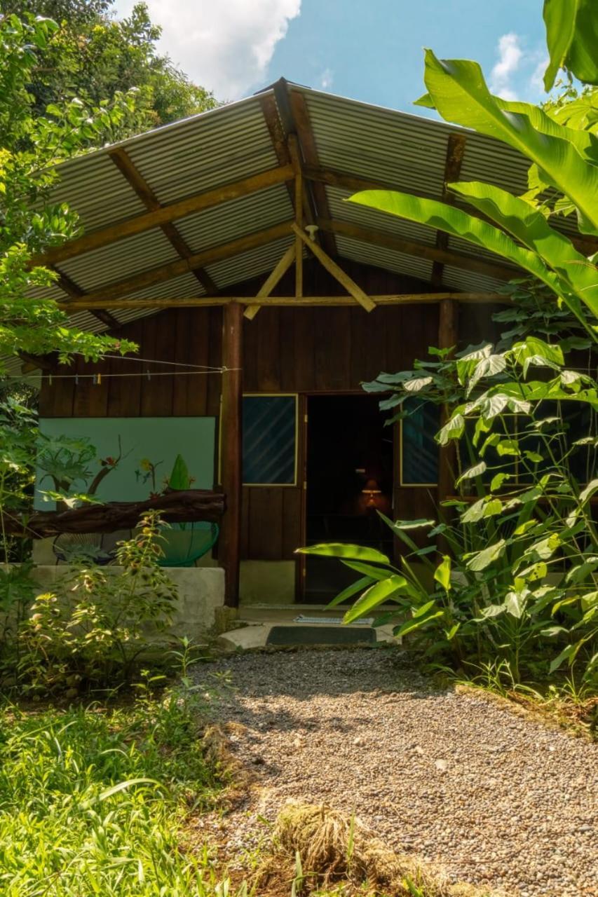 Los Paniquines Ecolodge Drakes Bay Екстериор снимка